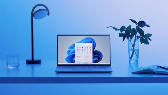 Windows 11 licenc